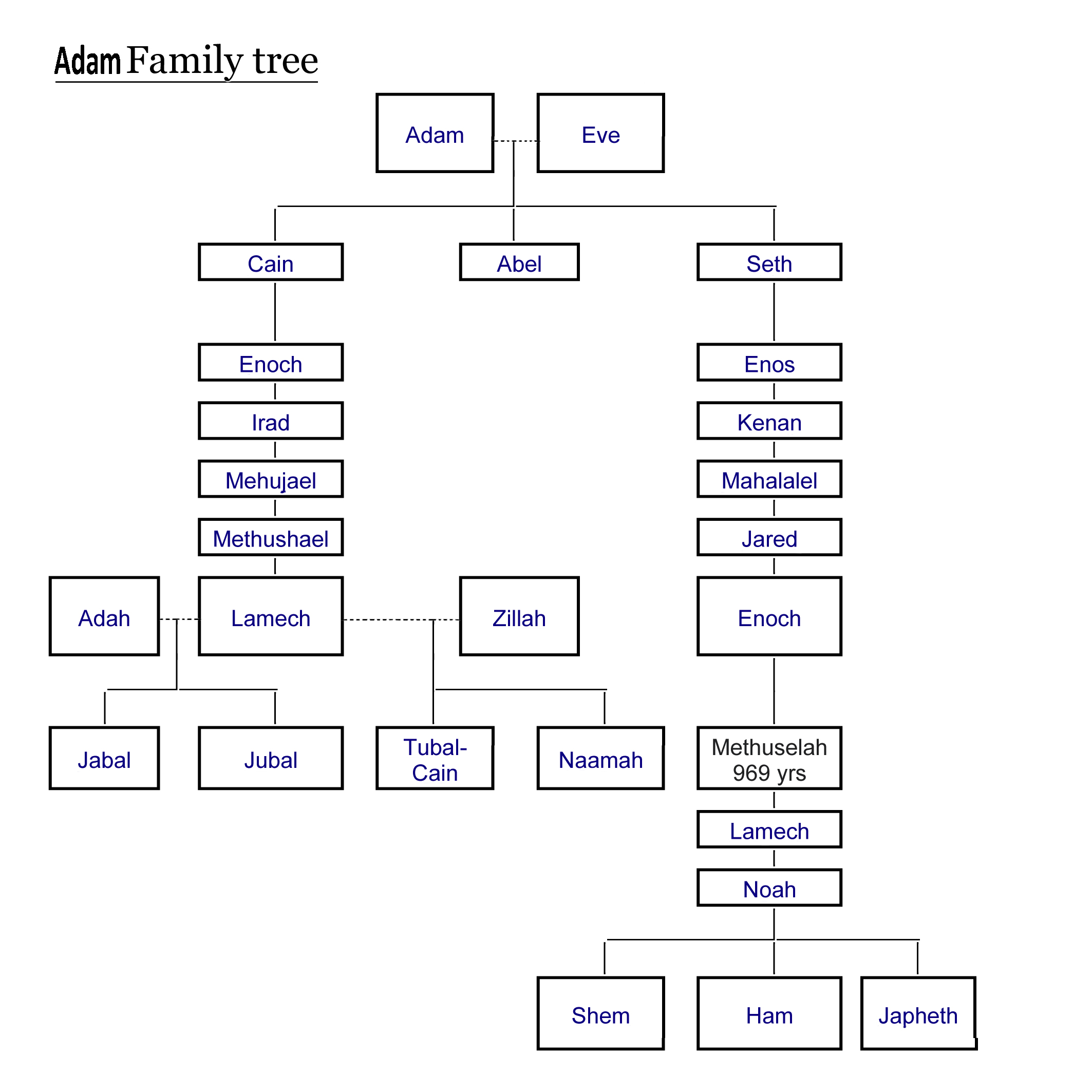 The Adam And Family Tree Wall Chart Pdf
